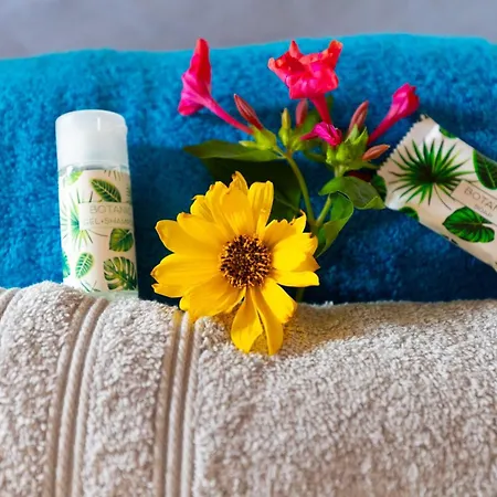 Entre Terre Et Sel - Centre - Wifi Prázdninový dům *