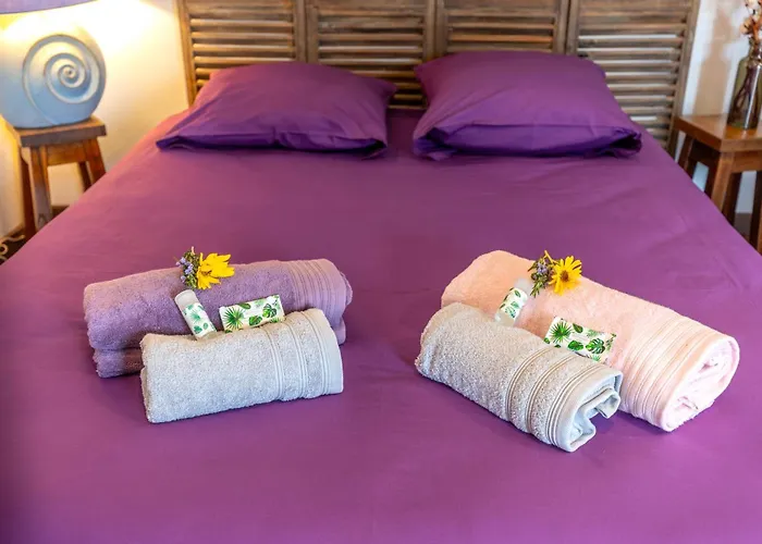 Entre Terre Et Sel - Centre - Wifi Bouin (Vendee)